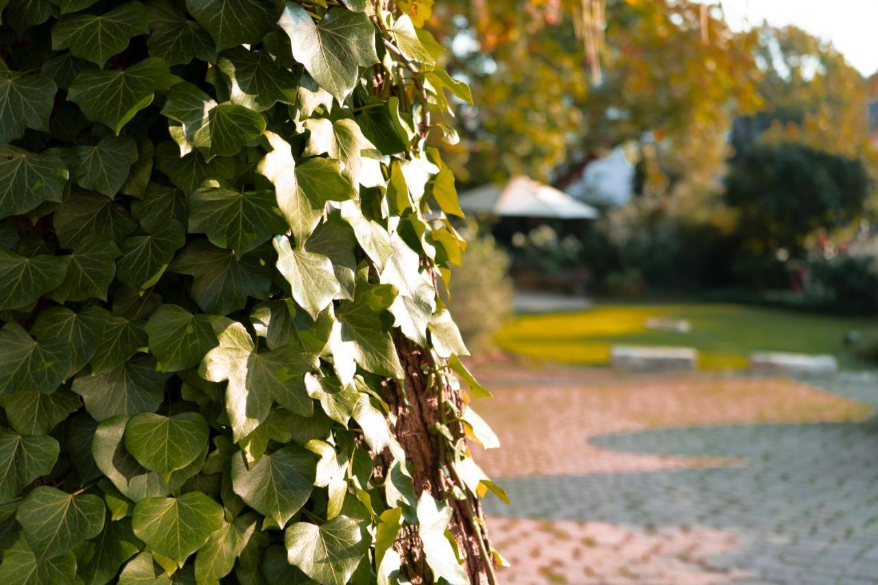 Villa Benz Hotel garni Schwetzingen Exterior foto